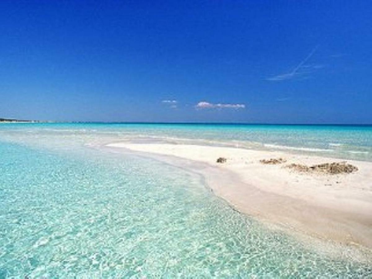 Appartamento Vicino Al Mare 加利波利 外观 照片